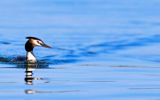 1755431 (a): :1920x1200